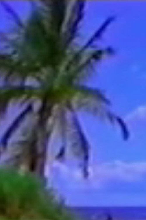 Vexation Island Poster