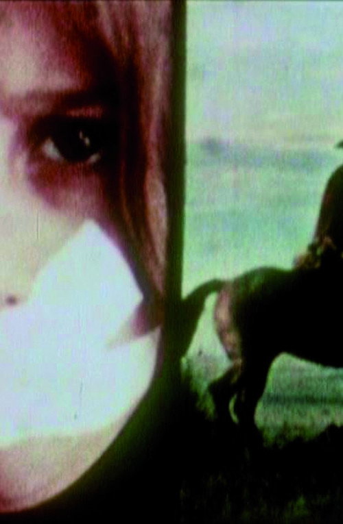 Boy Meets Girl Poster