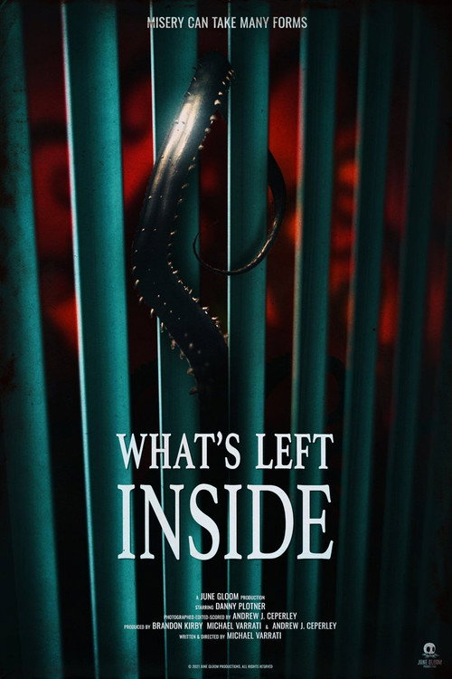 What's Left Inside Poster