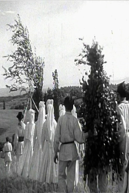 Springtime in White Carniola Poster