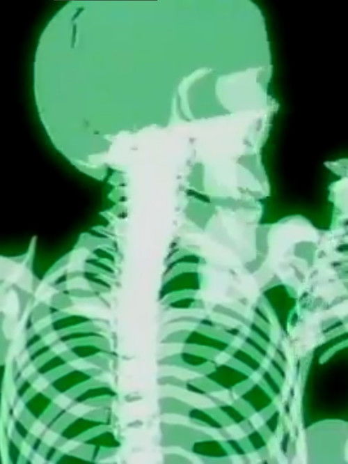 Frankie and Johnny Poster