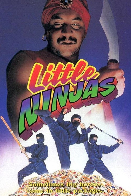 Little Ninjas Poster
