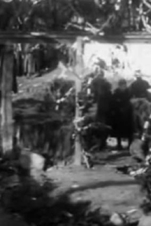 Celebration of Epiphany in Bitola Poster