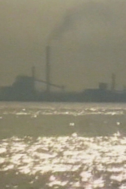 Porto Marghera, il lavoro contro la vita Poster