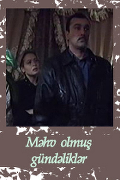 Destroyed Diaries Poster