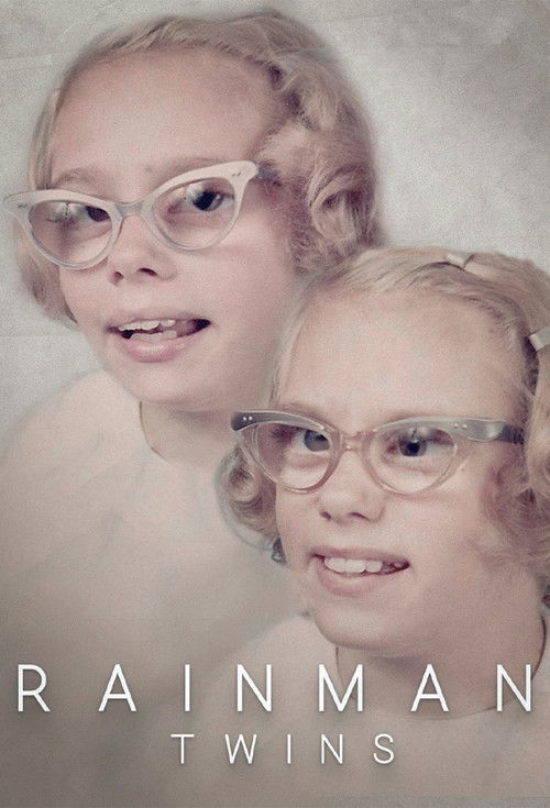 Rainman Twins Poster