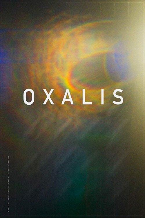 Oxalis Poster