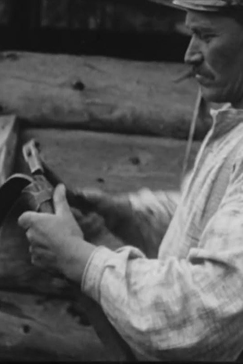 Myrslåtter i Älvdalen Poster