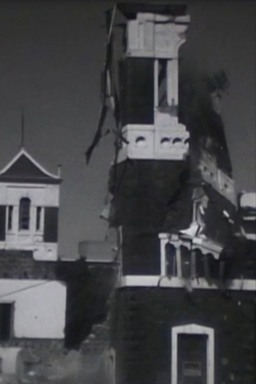 The Destruction of St. Patrick's College 1971 Poster