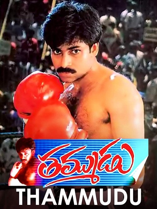 Thammudu Poster