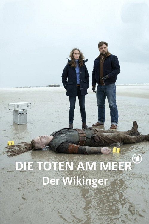 Die Toten am Meer - Der Wikinger Poster
