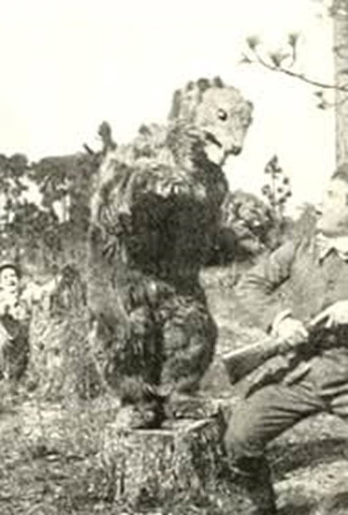 Willie, the Hunter Poster