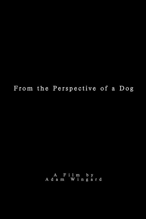 From the Perspective of a Dog Poster