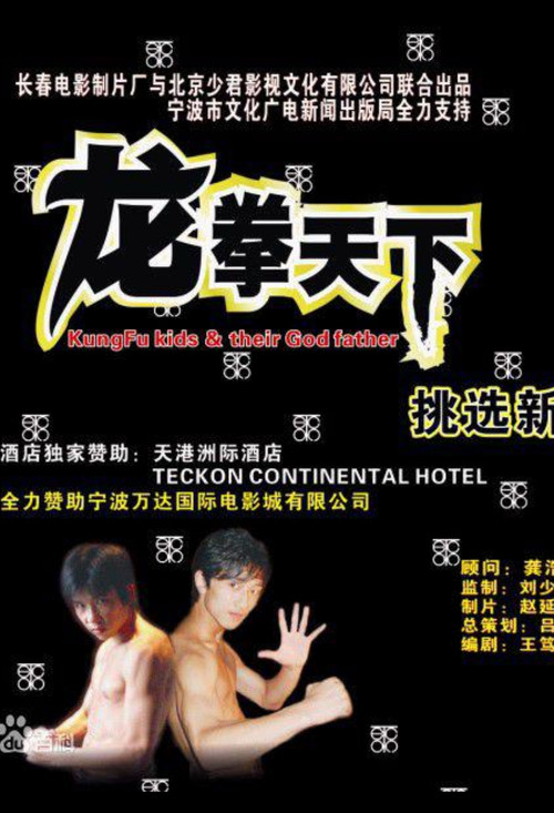 龙拳天下 Poster