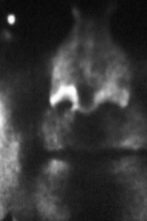 Idéal (Fin de L') Poster