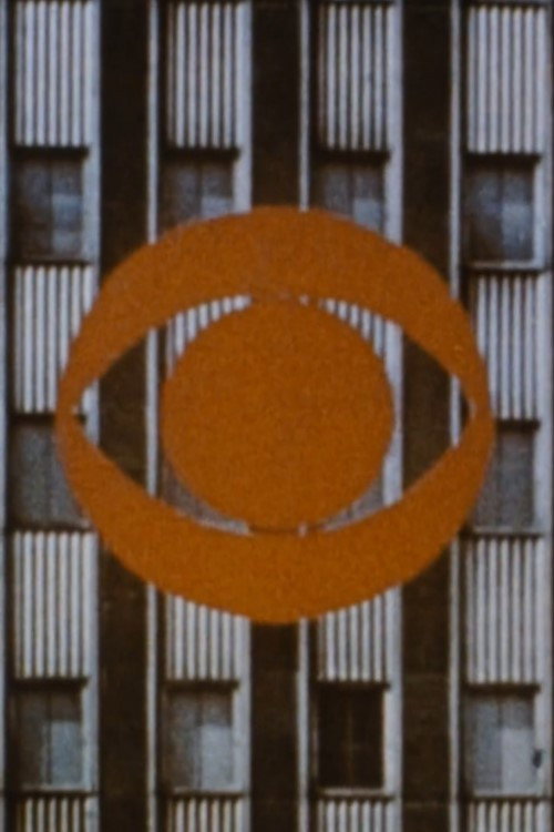 Faces and Fortunes Poster