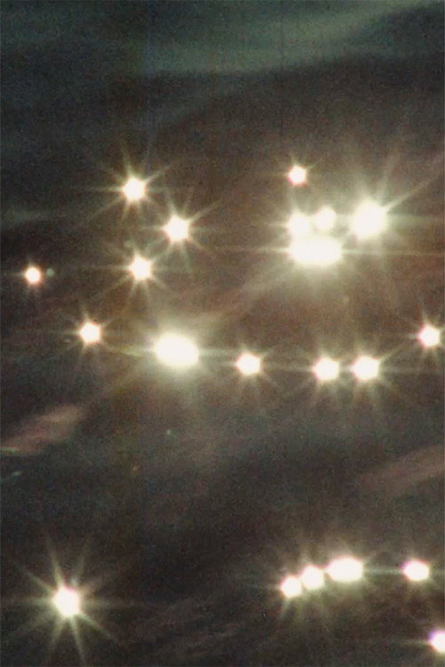 Whale Watch (1) Poster