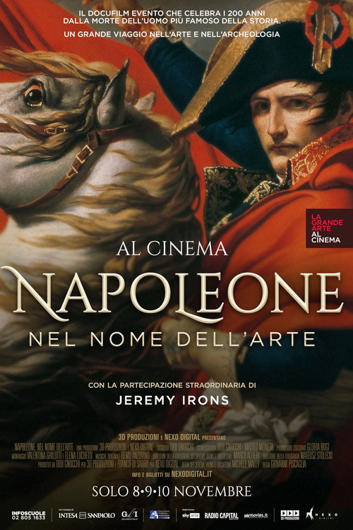 Napoleon: In the Name of Art Poster