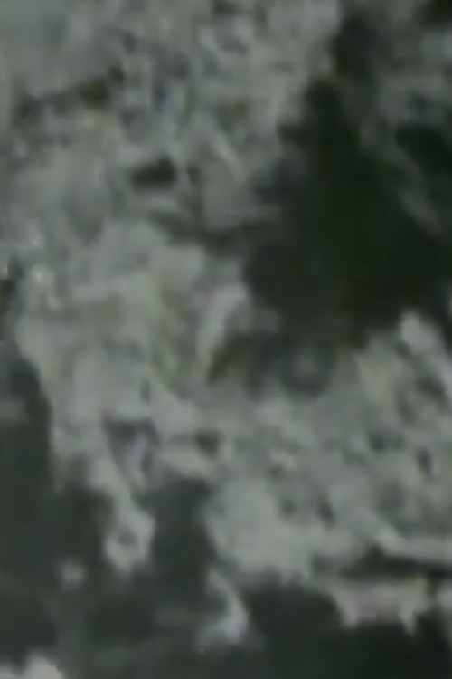 The Indian Runner's Romance Poster