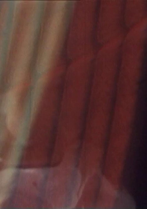 The Old Woman's Face, The Soup Tureen, Vreni Keller Speaks and Madame's Fanny Poster