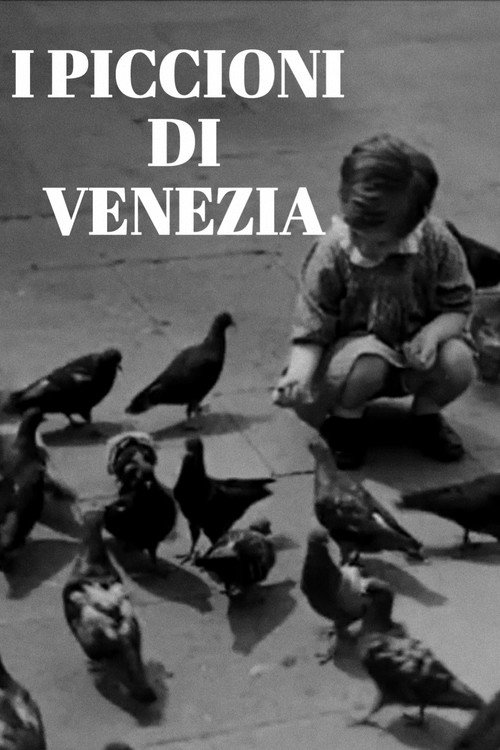 I piccioni di Venezia Poster