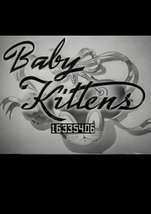 Baby Kittens Poster