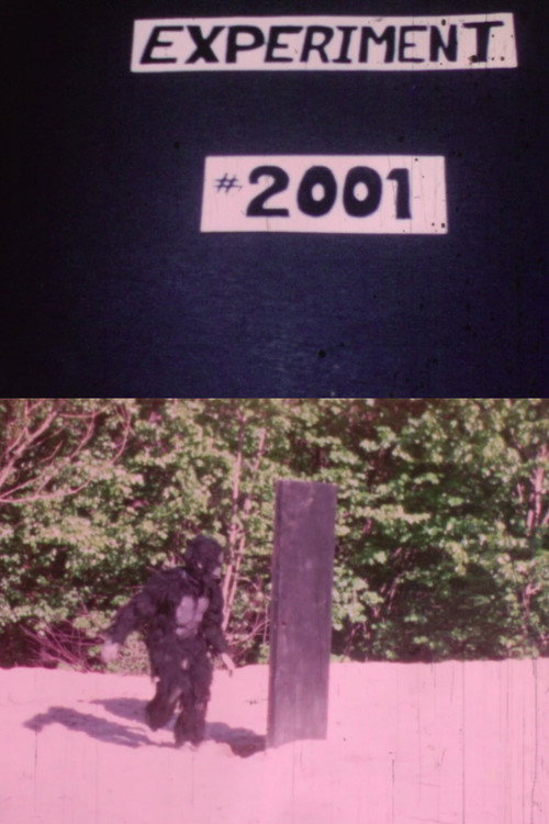 Experiment 2001: A Failure Poster