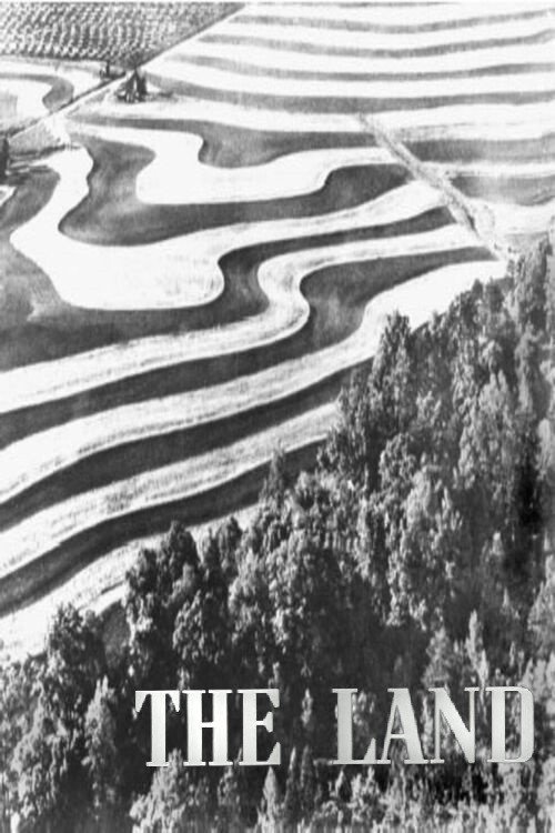 The Land Poster