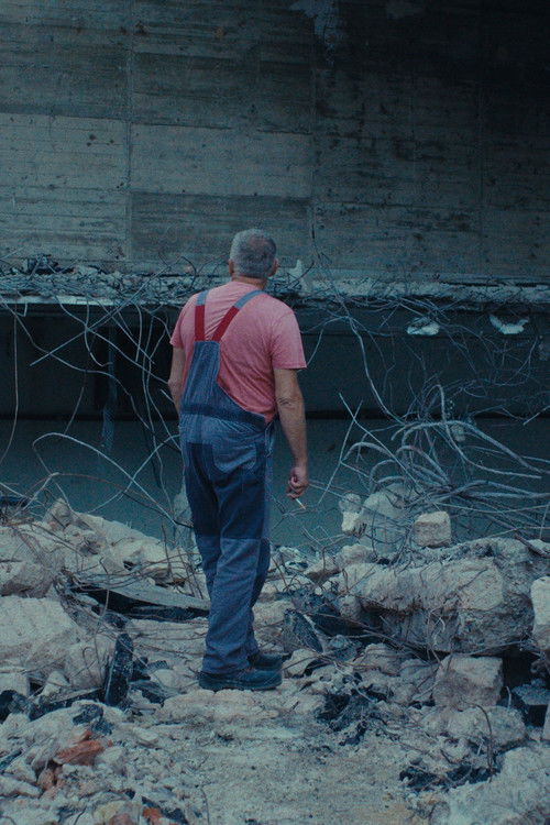 Nothing Remains Nothing Disappears Poster