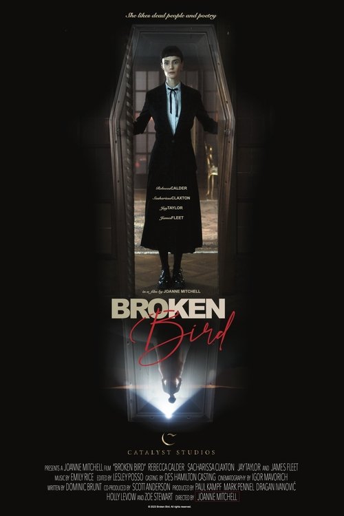 Broken Bird Poster