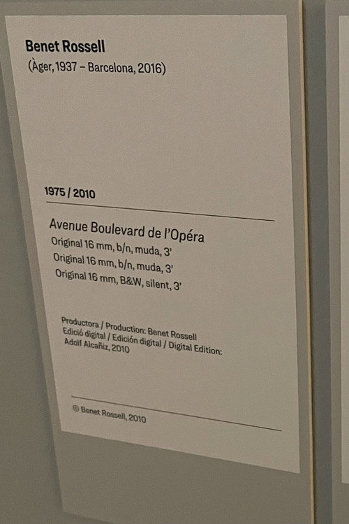 Avenue Boulevard de l'Opéra Poster