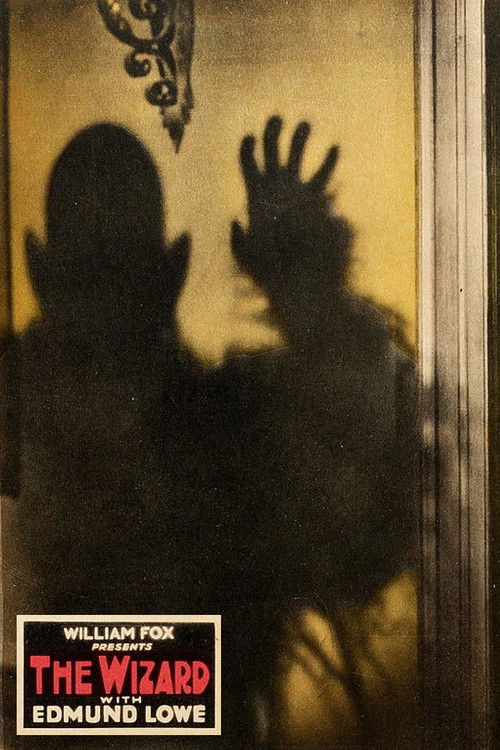 The Wizard Poster