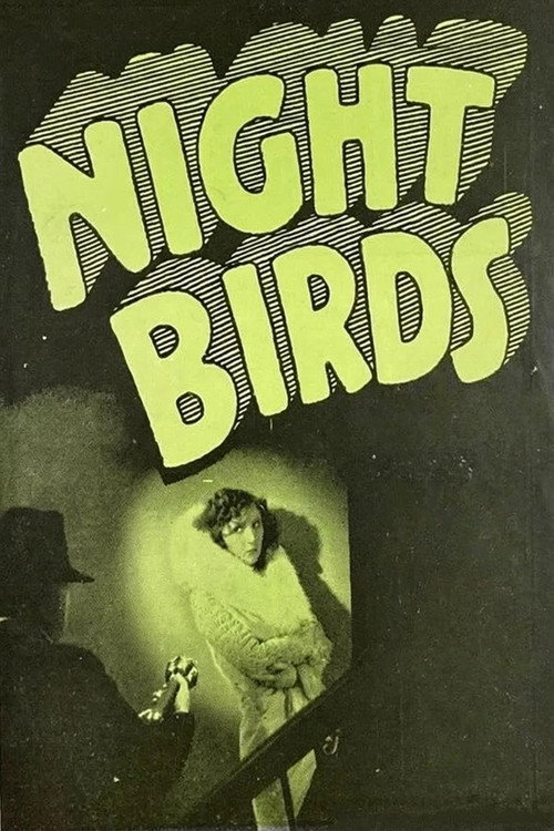 Night Birds Poster
