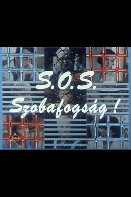 S.O.S. Szobafogság! Poster