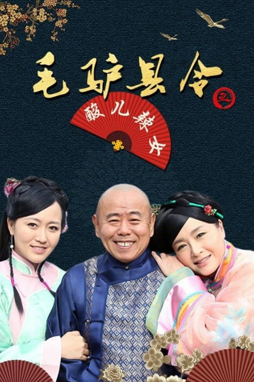 毛驴县令之酸儿辣女 Poster