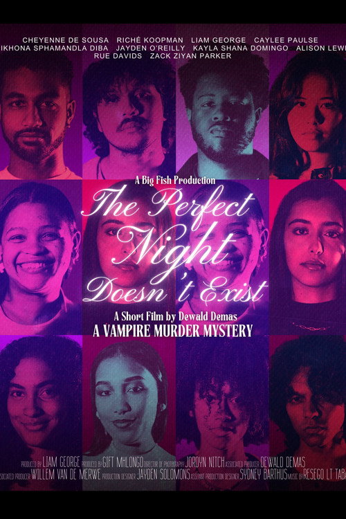 The Perfect Night Doesn't Exist Poster