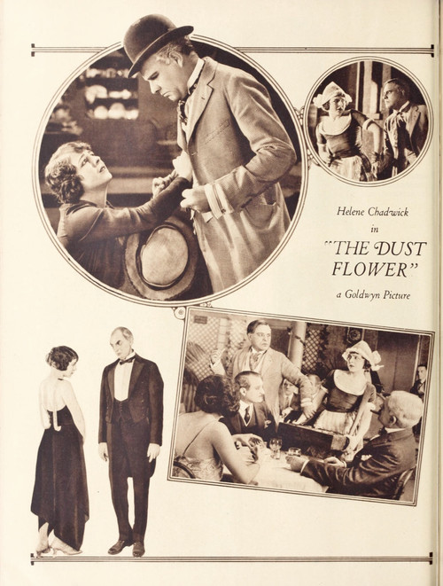 The Dust Flower Poster