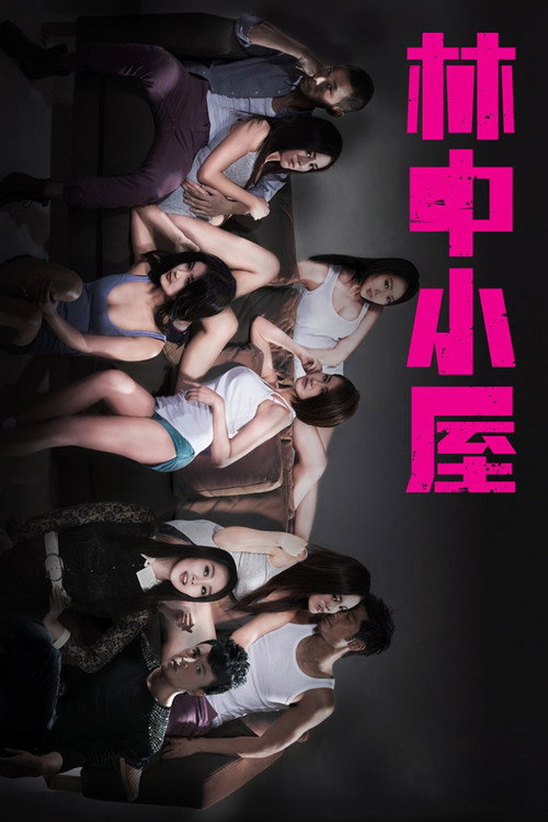 The Lodge in the Woods Poster