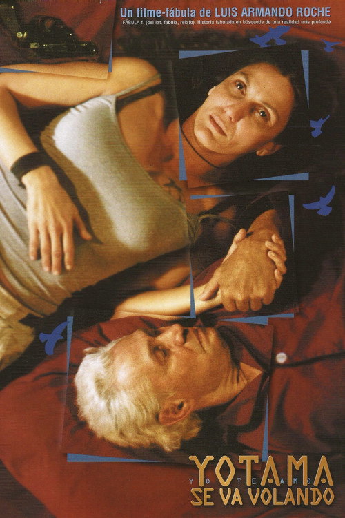Yotama se va volando Poster