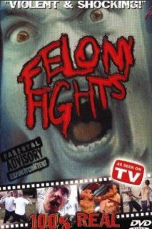 Felony Fights 1: Sick and Twisted Games Poster