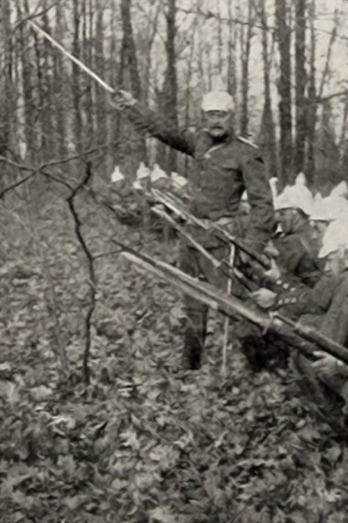 The Crimson Wing Poster