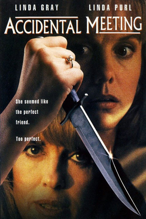 Accidental Meeting Poster