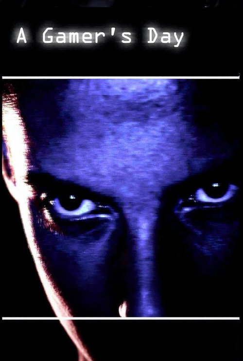 A Gamer's Day Poster