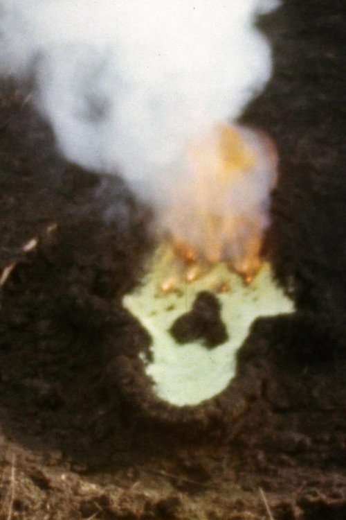 Fundamento Palo Monte (Silueta Series, Gunpowder Works) Poster