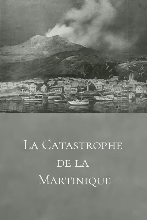 The Martinique Disaster Poster