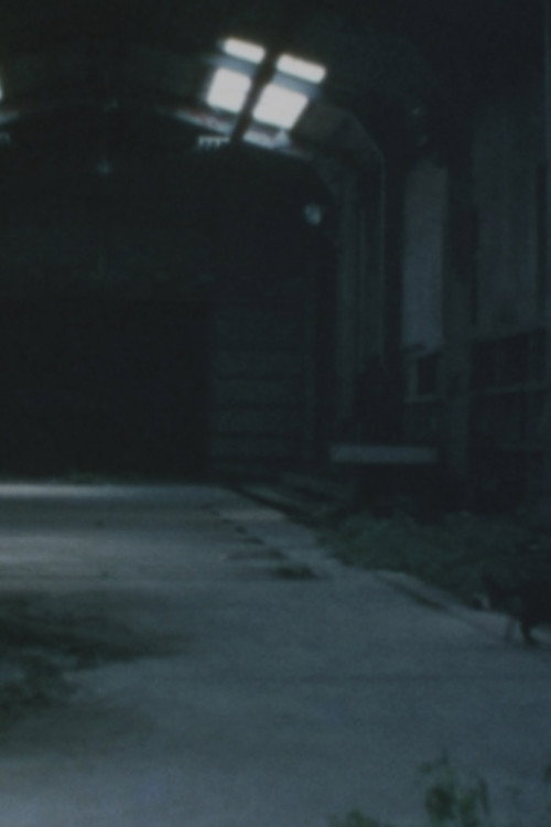 Ruins of Ōkubo Poster