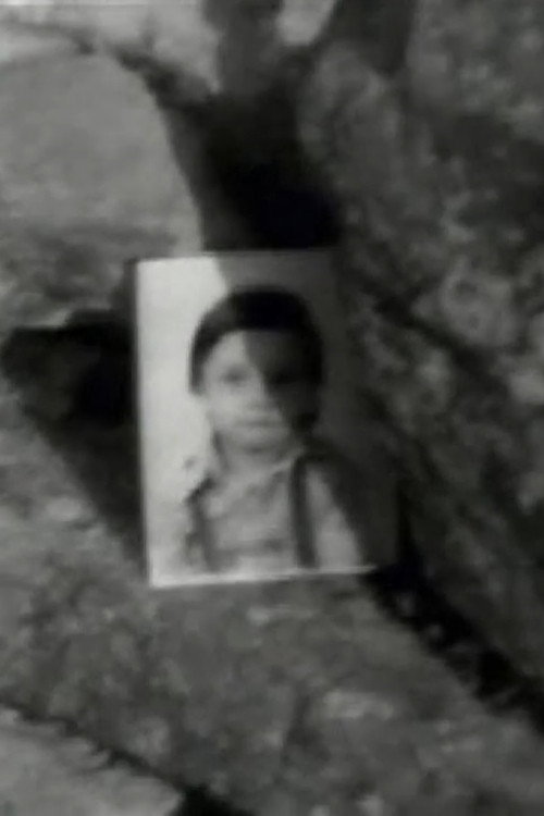 Identity as identification Poster
