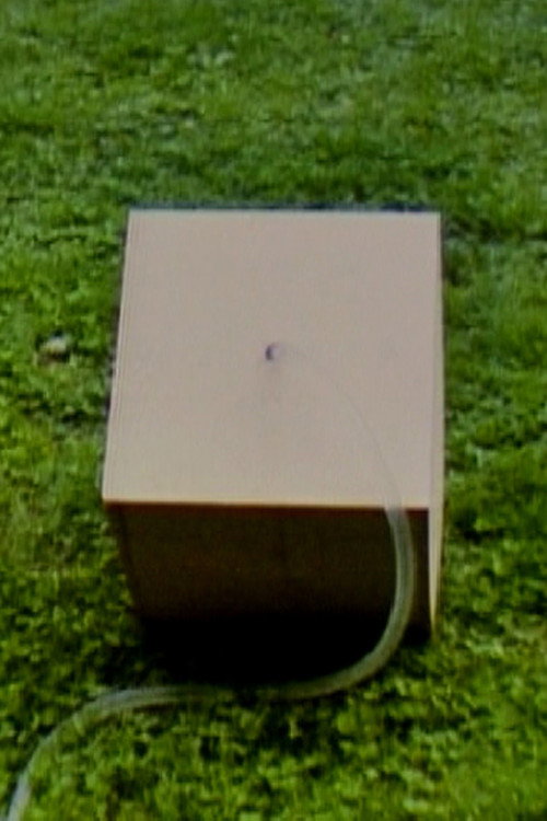 Box 2 Poster