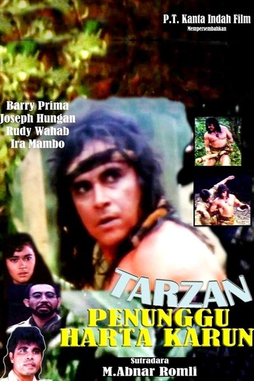 Tarzan: Treasure Watcher Poster