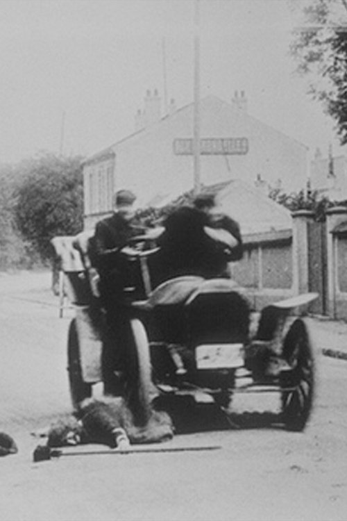 Automobile Accident Poster